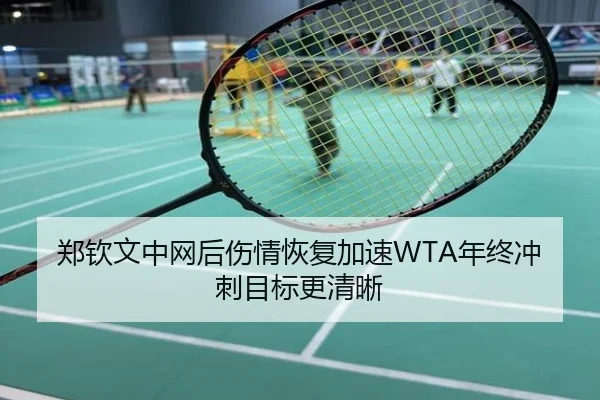 郑钦文中网后伤情恢复加速WTA年终冲刺目标更清晰